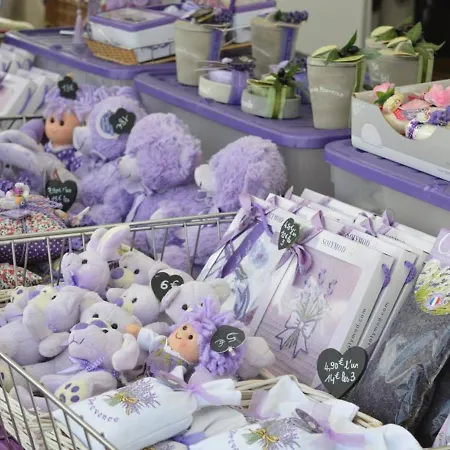 アパート T3 Avec Terrasse Et Garage - Proche Centre-ville - Fr-1-251-25 *