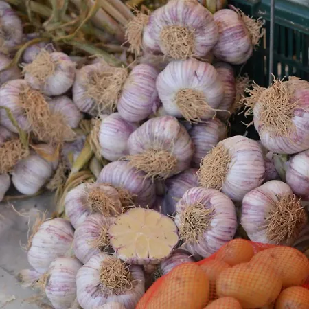 Appartement T3 Avec Terrasse Et Garage - Proche Centre-ville - Fr-1-251-25