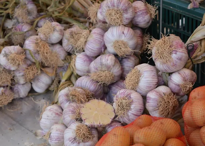 Lägenhet T3 Avec Terrasse Et Garage - Proche Centre-ville - Fr-1-251-25