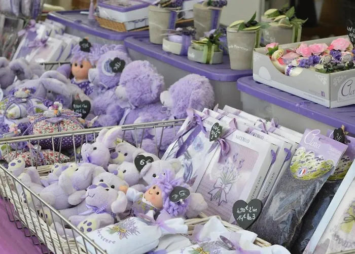 Lägenhet T3 Avec Terrasse Et Garage - Proche Centre-ville - Fr-1-251-25 *